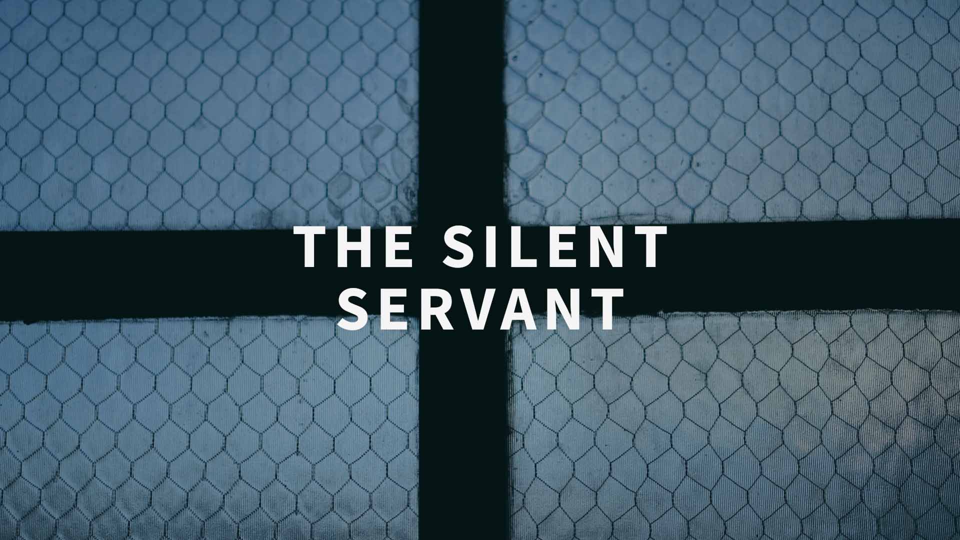 The Silent Servant