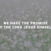 We Have The Promise of The Lord Jesus Himself