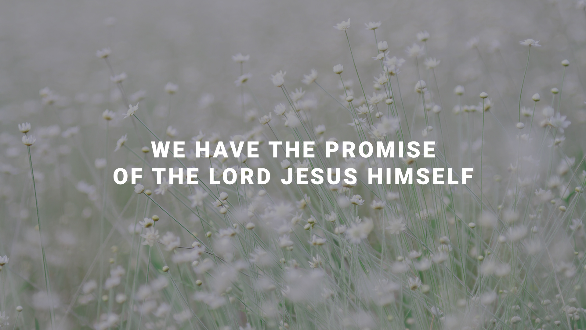 We Have The Promise of The Lord Jesus Himself