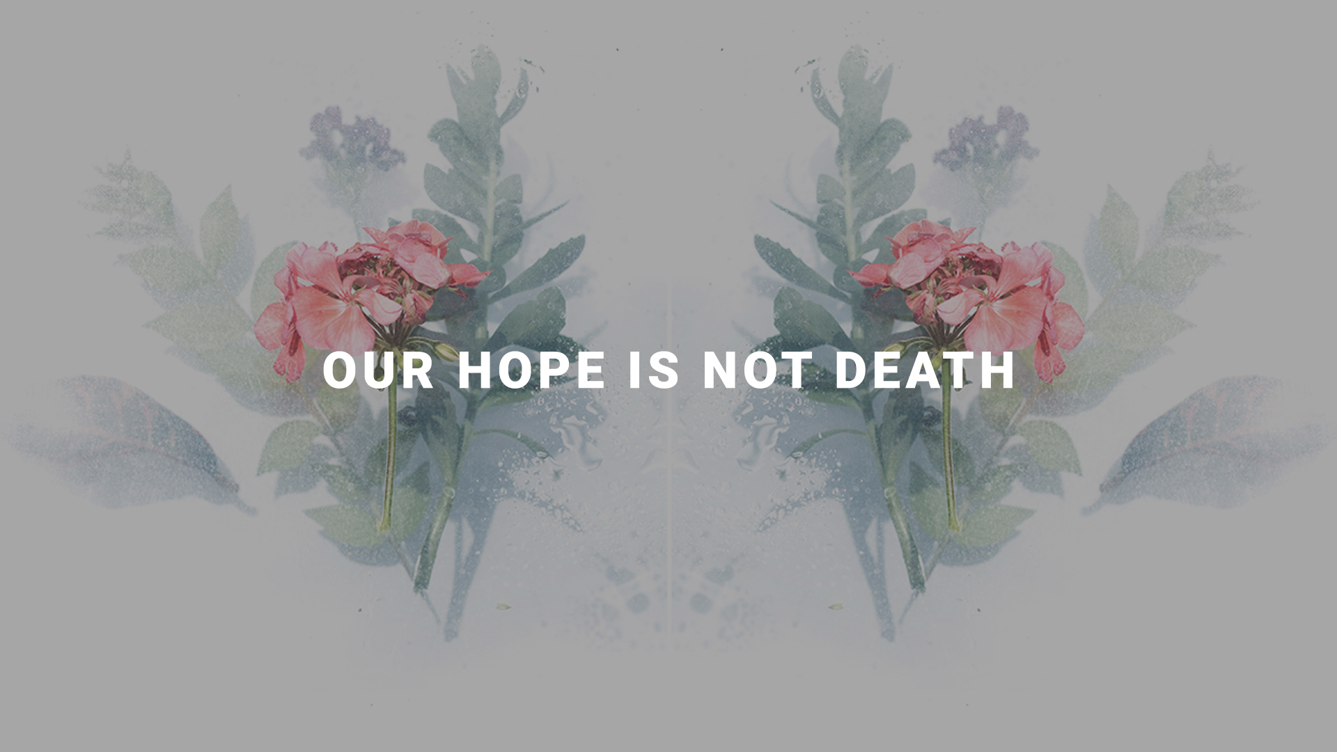 Our Hope is Not Death